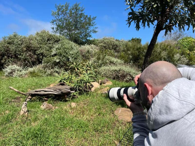 Plettenberg Bay: Private Guided Wildlife Photography Tour - The Experience’s Strengths & Limitations