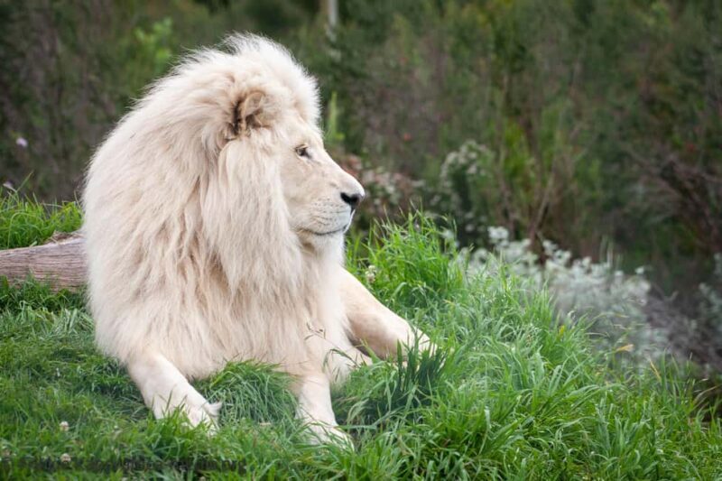Plettenberg Bay: Private Guided Wildlife Photography Tour - Who Will Love This Tour?