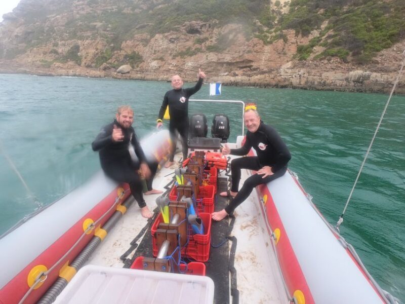 Plettenberg Bay: Seal Swimming Experience - Exploring the Plettenberg Bay Seal Swimming Experience