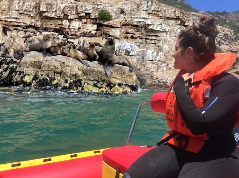 Plettenberg Bay: Seal Viewing Boat Trip - Key Points