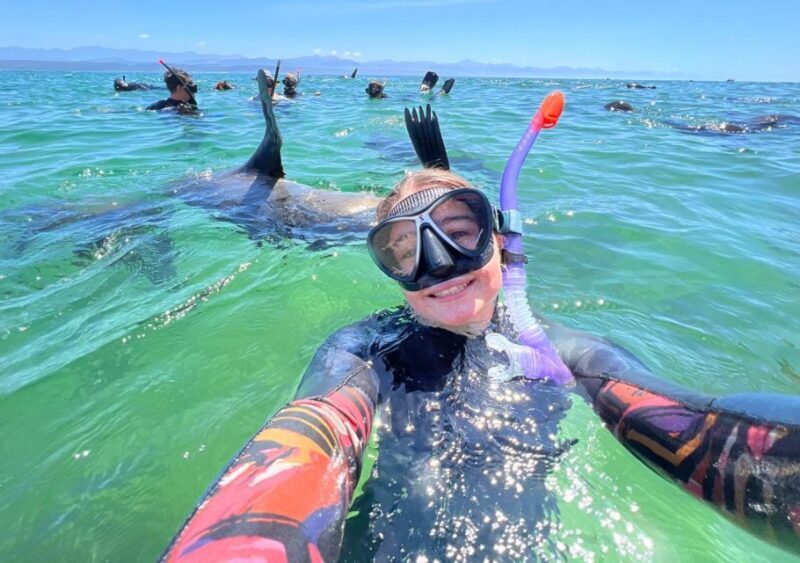 Plettenberg Bay: Seal Viewing Boat Trip - Final Thoughts