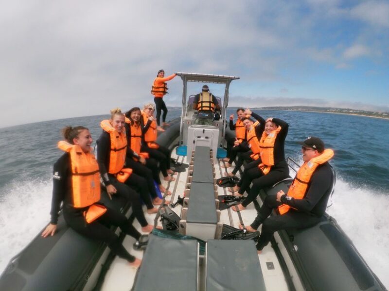 Plettenberg Bay: Swim with Seals - Final Thoughts