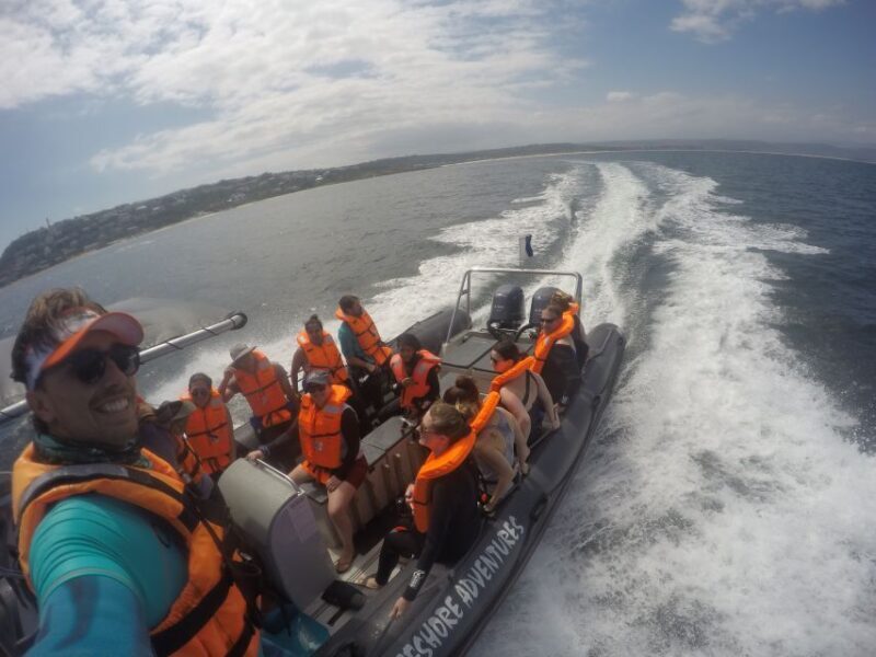 Plettenberg Bay: Swim with Seals - Frequently Asked Questions