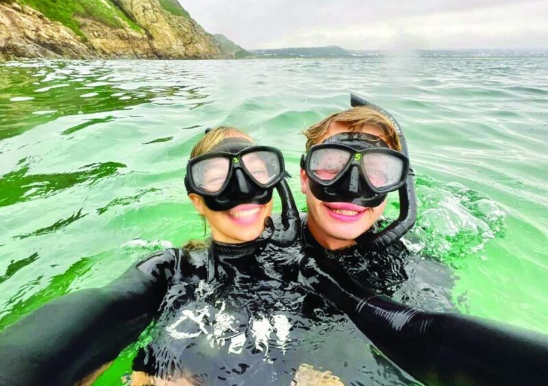 Plettenberg Bay: Swim with the Seals - An In-Depth Look at the Plettenberg Bay Seal Swim Experience