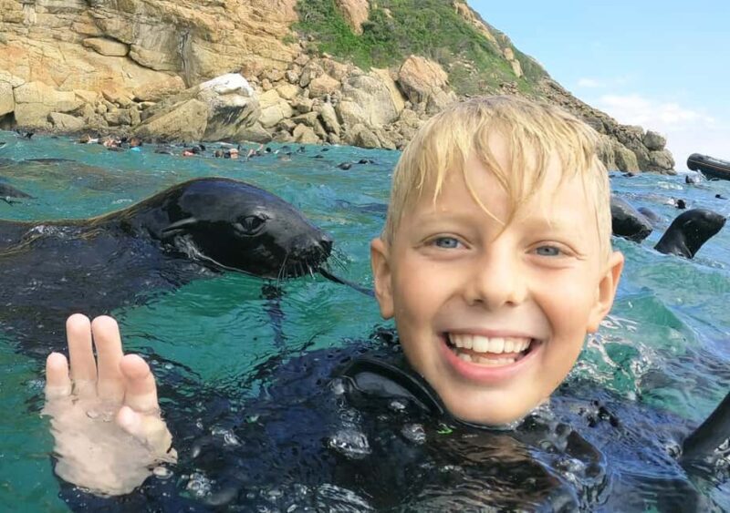Plettenberg Bay: Swim with the Seals - Pricing and Value