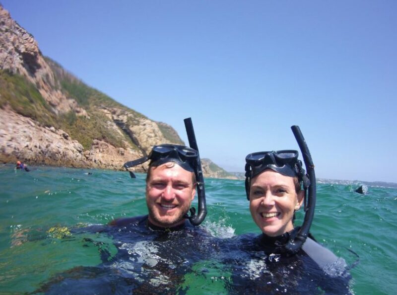 Plettenberg Bay: Swim with the Seals - Authentic Reviews and Insights