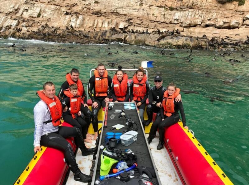 Plettenberg Bay: Swim with the Seals - Final Thoughts