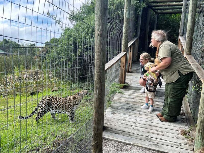 Plettenberg Bay: Wild Cat and Wildlife Guided Tour - The Experience in Detail