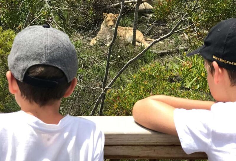 Plettenberg Bay: Wild Cat and Wildlife Guided Tour - Who Will Love This Tour?