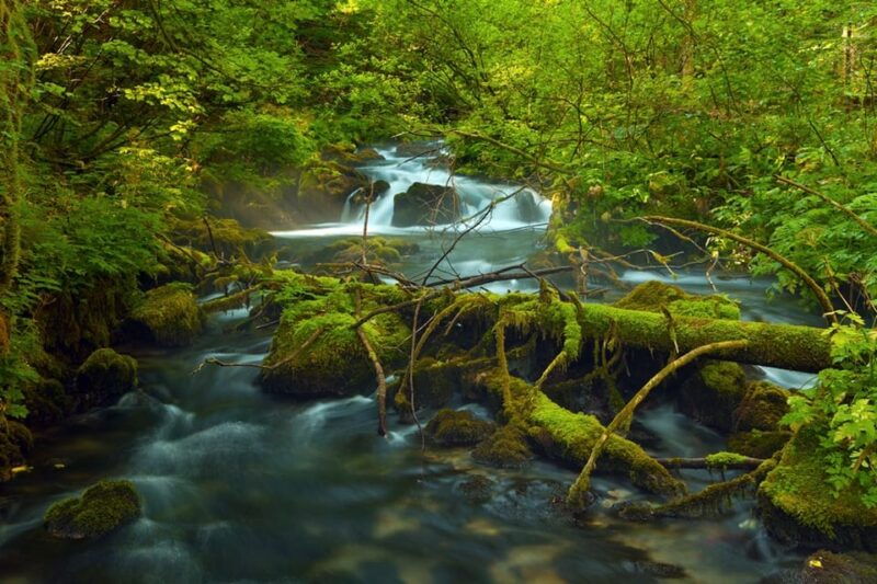 plitvice-lakes-day-tour-from-zagreb