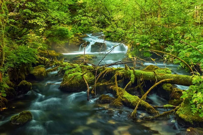 Plitvice Lakes: Guided Walking Tour with Bus and Boat Ride - What to Expect: An In-Depth Look