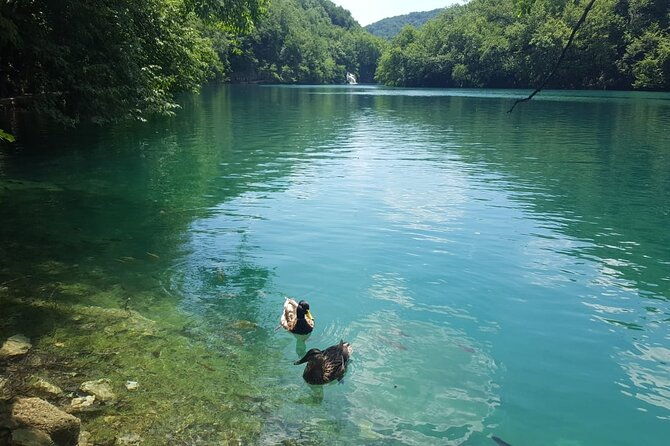 plitvice-lakes-small-group-tour-ecco-from-split-or-trogir