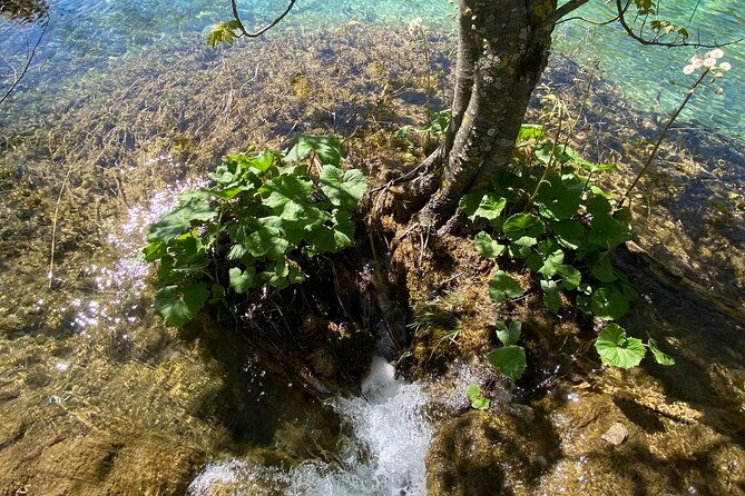 plitvice-private-tour-driver-guide-up-to-8-ppl-from-zadar