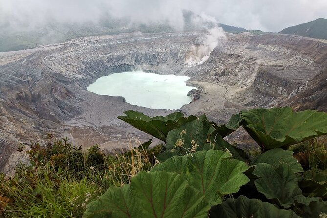poas-volcano-coffee-plantation-and-la-paz-waterfall-gardens-tour