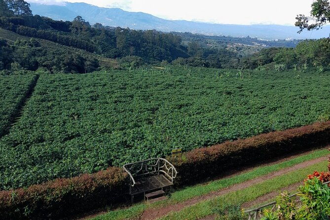 poas-volcano-coffee-plantation-and-la-paz-waterfall-gardens-tour