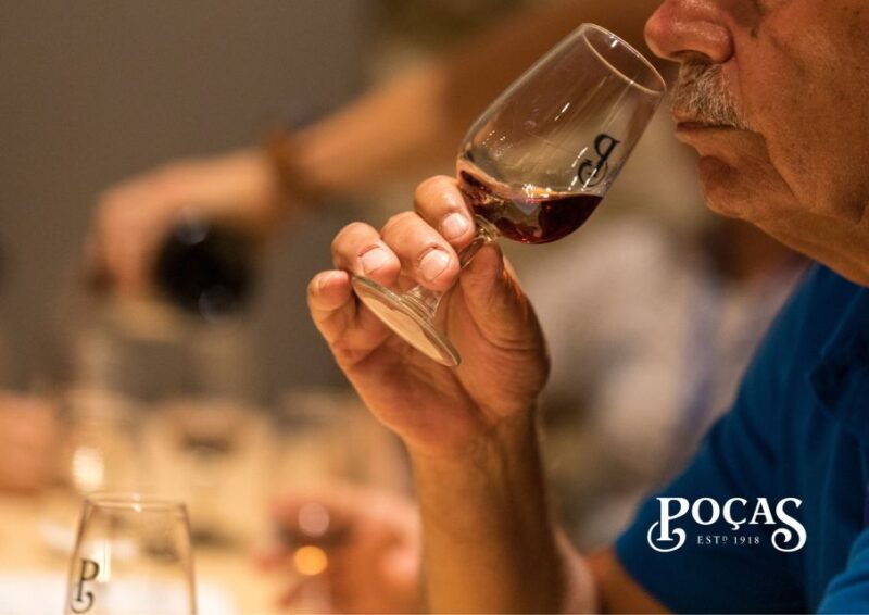 pocas-guided-tour-port-wine-tasting-with-pastel-de-nata