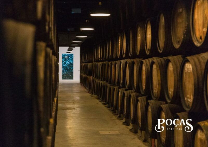 pocas-guided-tour-port-wine-tasting-with-pastel-de-nata