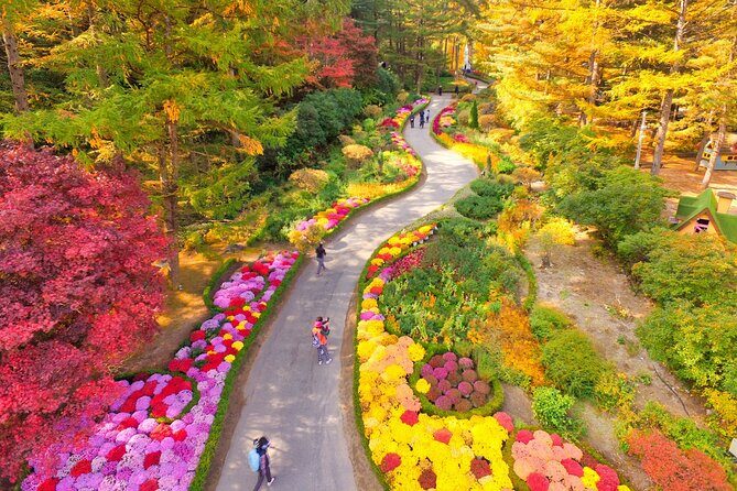 Pocheon Art Valley, Garden & Fruit Picking Day Tour from Seoul - Optional Winter Activities at Chorigol-gil
