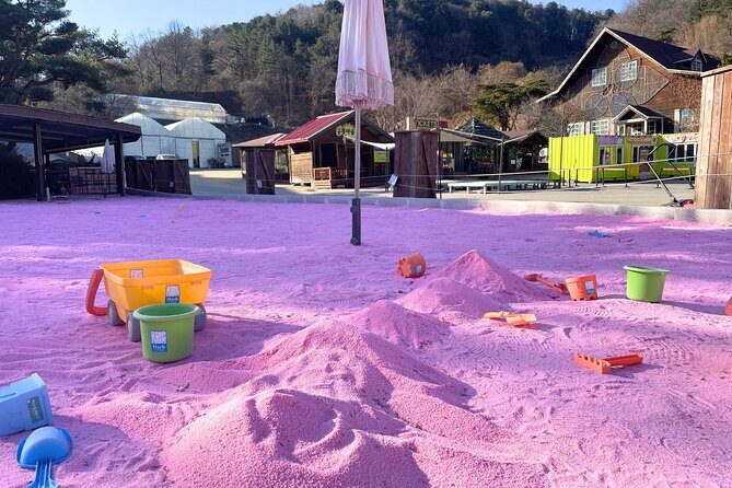 Pocheon Highlights 1 Day Tour - Practical Details: What You Need to Know Before Booking