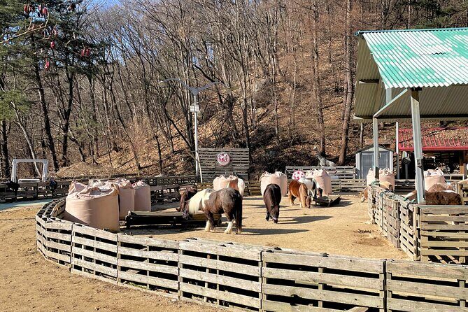 Pocheon Highlights 1 Day Tour - Final Thoughts: Who Will Love This Tour?