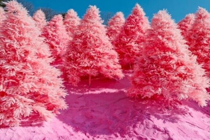 Pocheon: Sanjeong Lake+ Art Valley+Morning Calm garden Tour - Final Thoughts: Is It Worth It?