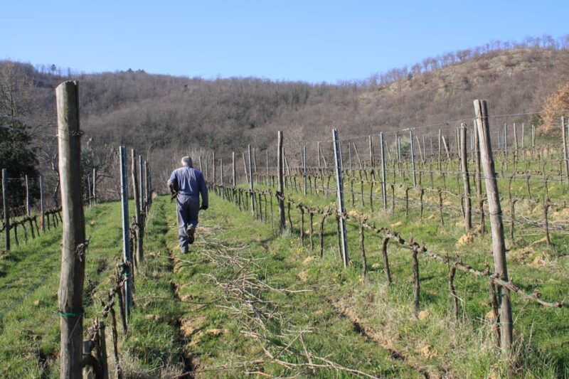 podere-della-bruciata-montepulciano-primal-cru-experience