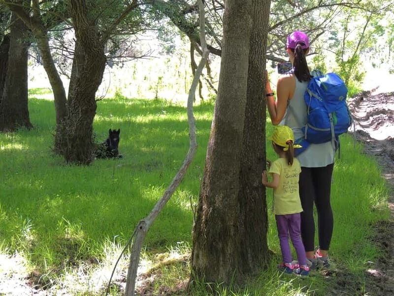Podgorica Historic, Safari and Winery tour - Skadar lake - Who Should Consider This Tour?