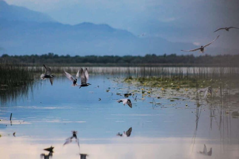 Podgorica: Ostrog, Niagara, and Skadar Lake Private Tour - Frequently Asked Questions