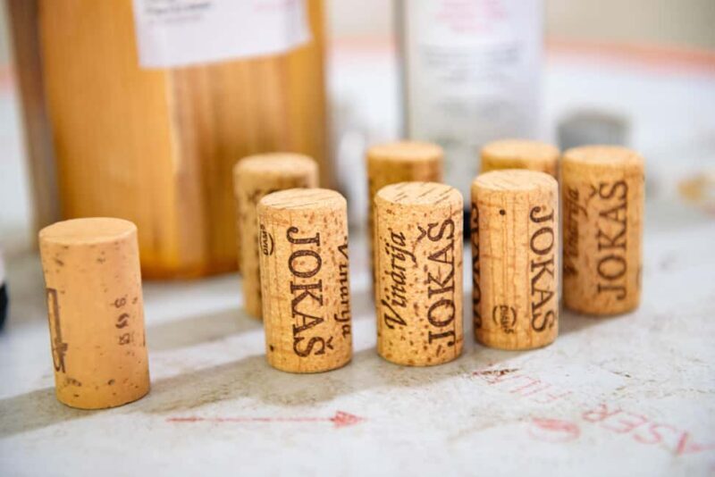 Podgorica: Panoramic Wine Tasting & Snack - The Experience: What to Expect