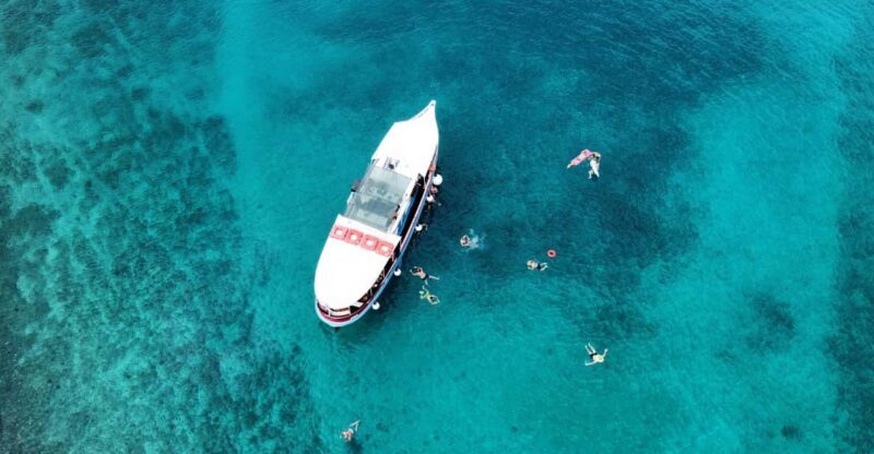 Podstrana: Full-Day Boat Trip to islands of Bra and olta - Traveler Reviews: Authentic Insights