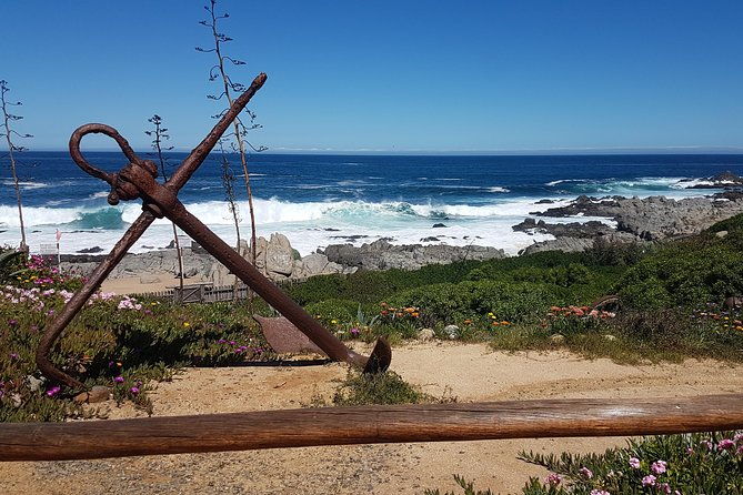 poetry-and-wines-isla-negra-and-undurraga-vineyard