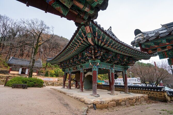 Pohang Customized Private Tour with a Licensed Tourguide - Discovering Pohang: An Authentic Local Experience