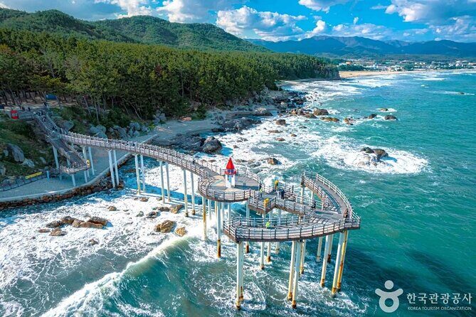 Pohang Customized Private Tour with a Licensed Tourguide - Authentic Experiences and Local Insights