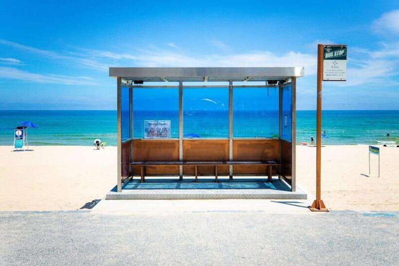 pohang-public-private-taxi-tour-car-charter