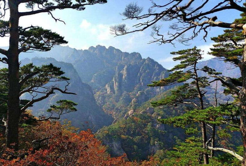 pohang-public-private-taxi-tour-car-charter