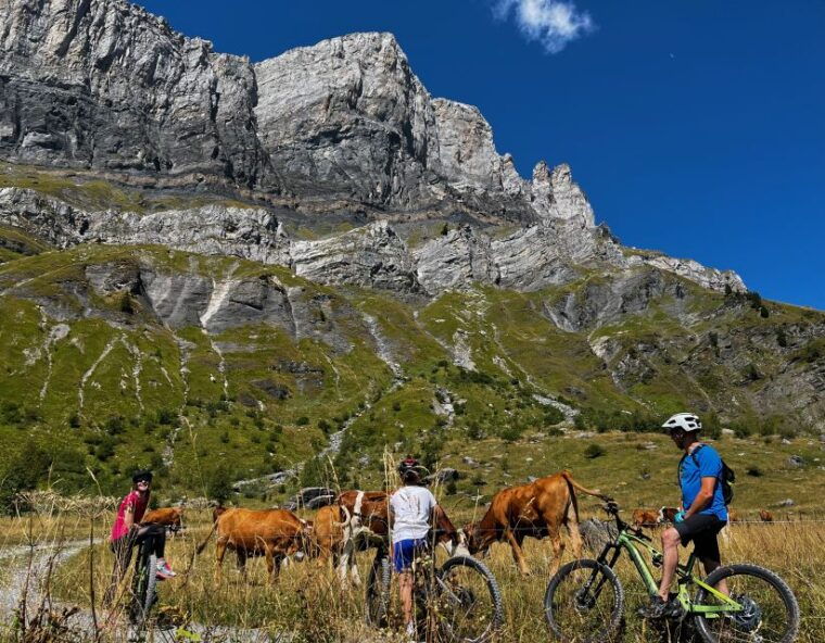 Point of view on the glaciers of Chamonix by ebike - The Sum Up: Why Choose This Experience?