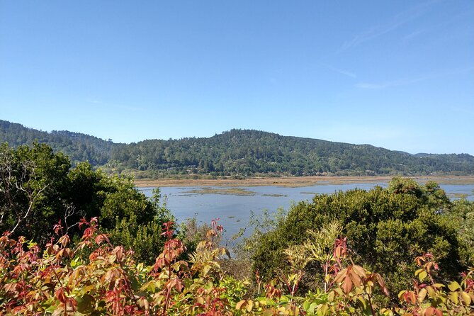 point-reyes-national-seashore-self-guided-driving-audio-tour