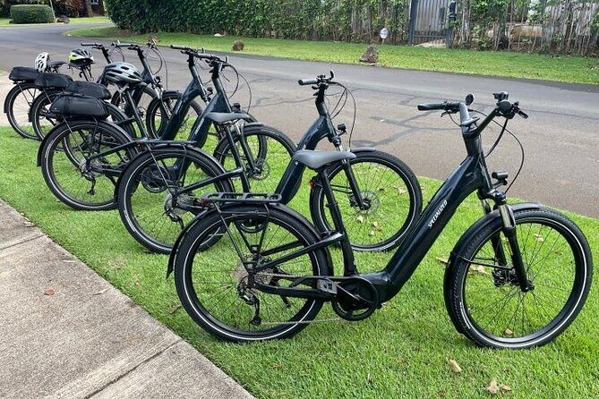 Poipu and Koloa E-Bike Scenic Tour - The Sum Up