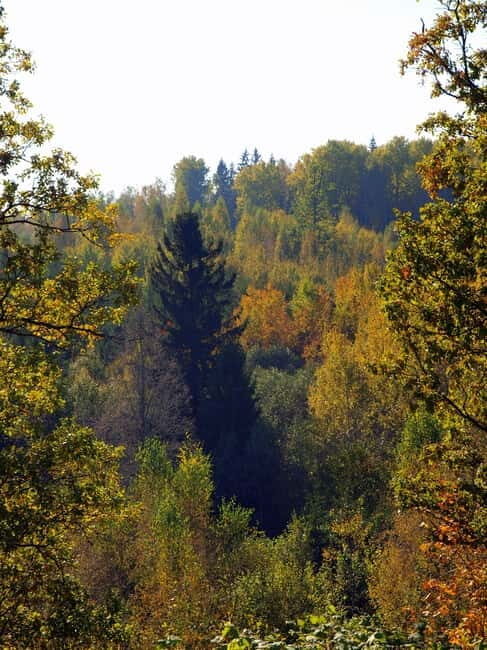 Pokaini stone agglomerates, Dobele castle, children park - Practical Details & Tips for Making the Most of Your Tour