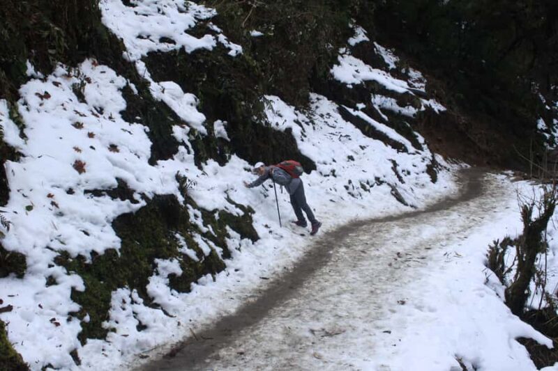 Pokhara: 1 Day Poon Hill Sunrise Hike with Transfer - Key Points