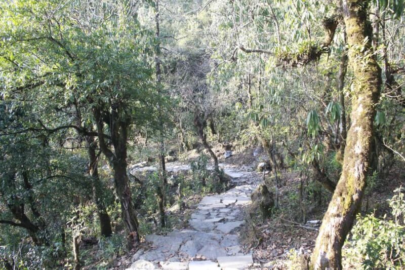 Pokhara: 1 Day Poon Hill Sunrise Hike with Transfer - The Sum Up