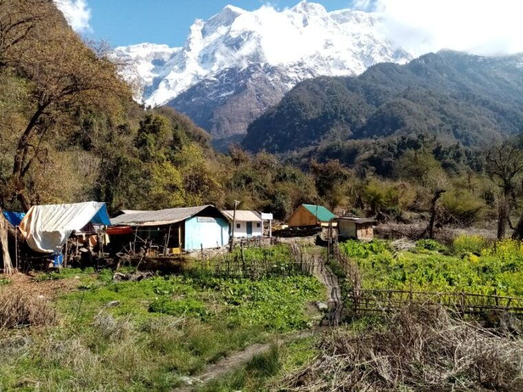 pokhara-1-night-2-days-kapuche-glacier-lake-and-sikles-trek