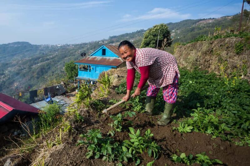 Pokhara: 2-Day Ghachok Village Tour with Homestay & Hike - Introduction: A Glimpse of Rural Nepal