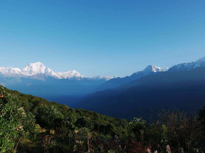pokhara-2-day-short-sweet-ghorepani-poon-hill-guided-trek