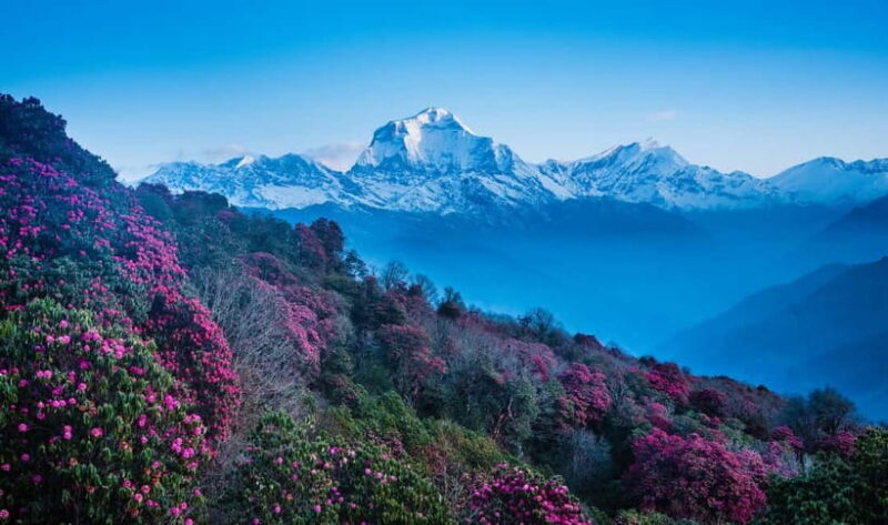 Pokhara: 2-Days Beautiful Poon Hill Trek with Sunrise View - Final Word