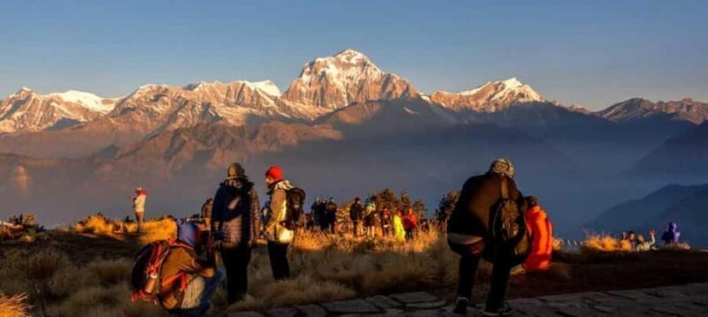 Pokhara: 2 days guided Poon Hill Trek - Day 2: Sunrise at Poon Hill & Return