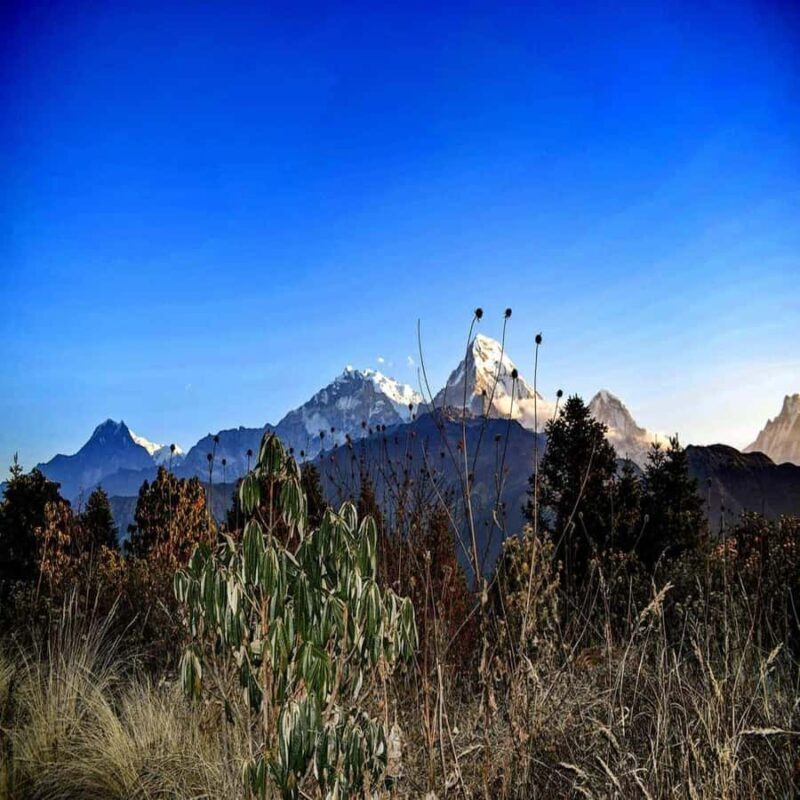 Pokhara: 2 days guided Poon Hill Trek - Cultural Encounters