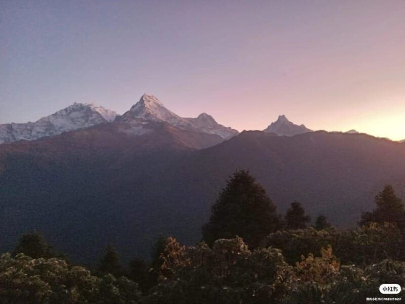 pokhara-3-day-easy-pulse-poon-hill-trek