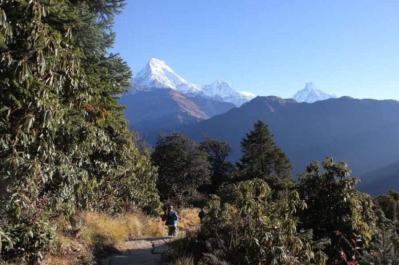 Pokhara: 3-Day Ghandruk Village Trek with Guide - Who Should Consider This Trek?