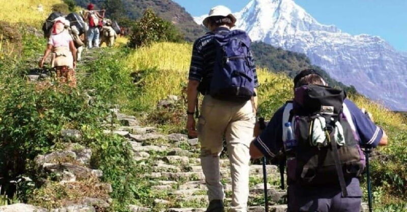pokhara-3-day-ghorephani-poonhill-himalayan-paradise-trek